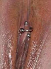 Lush succulent pusy