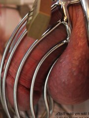 Tribute for Dominatrix Wildhoney