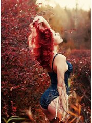 Magnificent crimson goes (33)