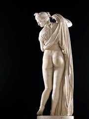 Venus - for Veronique
