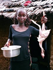 SUPERB AFRICAN NYMPH