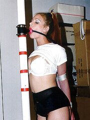 SADISM & MASOCHISM Fledgling