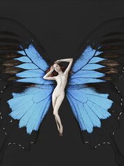 Butterfly-winged Psykhe