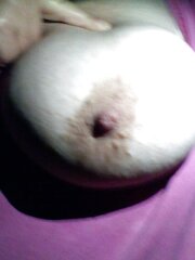 PLUMPER melons
