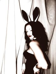 Kittens and Bunny 12!