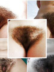 Wooly gallery