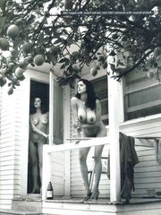 Reminiscent Vintage Retro Cottontail Big-Boobed Innate Latina
