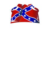CONFEDERATE FLAG
